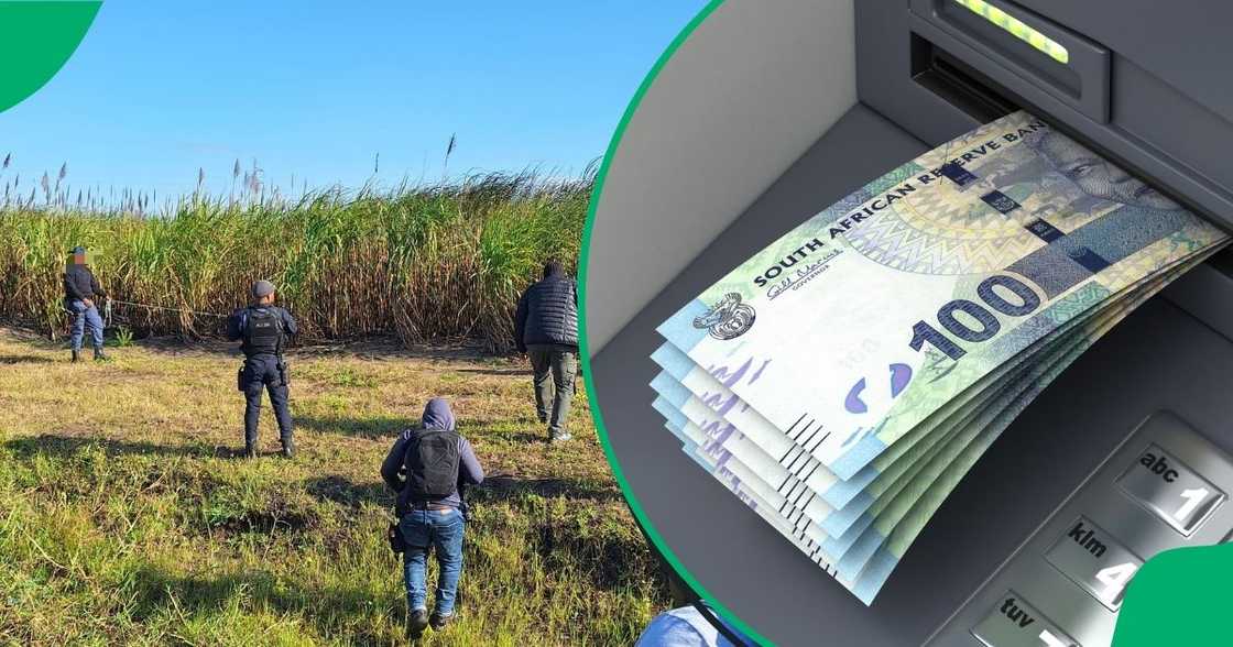 A search is underway in a sugarcane field near Madlankala after suspects fled from a heated gun battle with law enforcement while bombing an ATM.