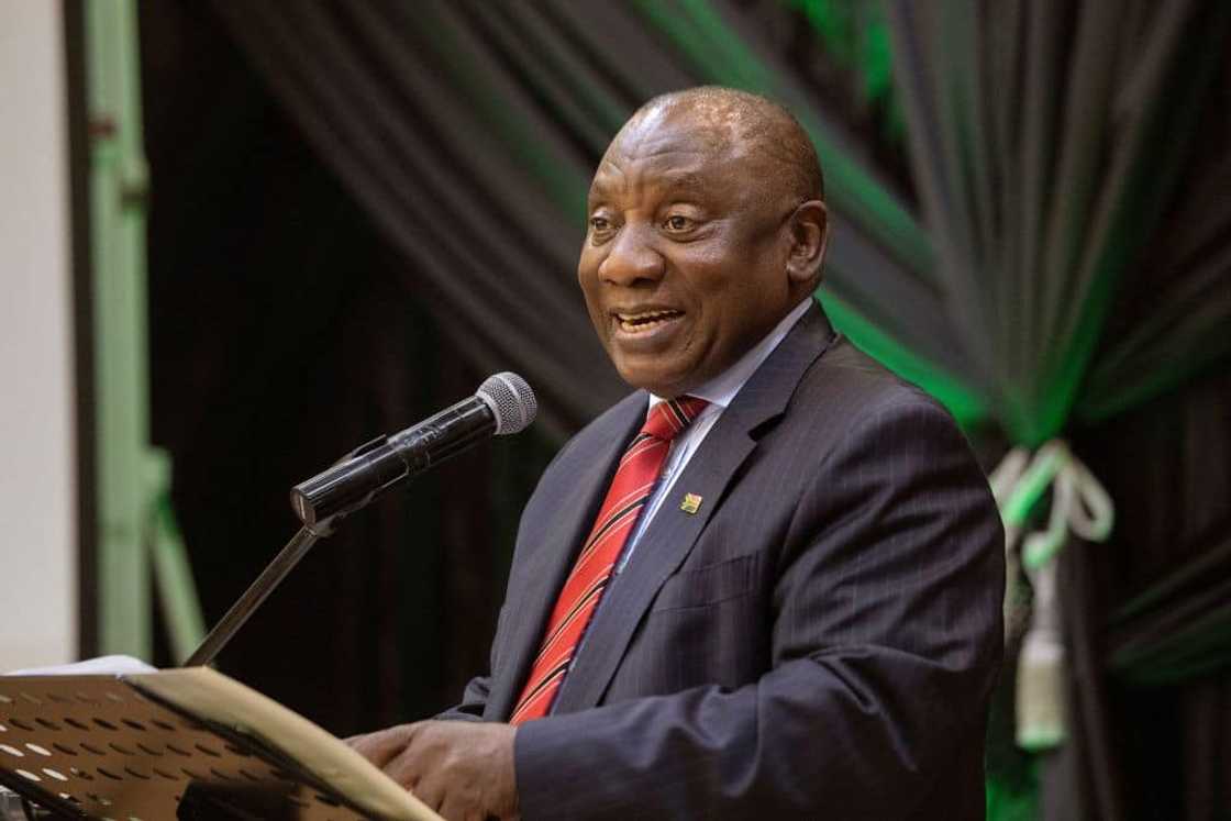 SA business world takes notice of money invested in expanding Ankole cattle breeding phenomenon SA business world takes notice of money invested in expanding Ankole cattle breeding phenomenon