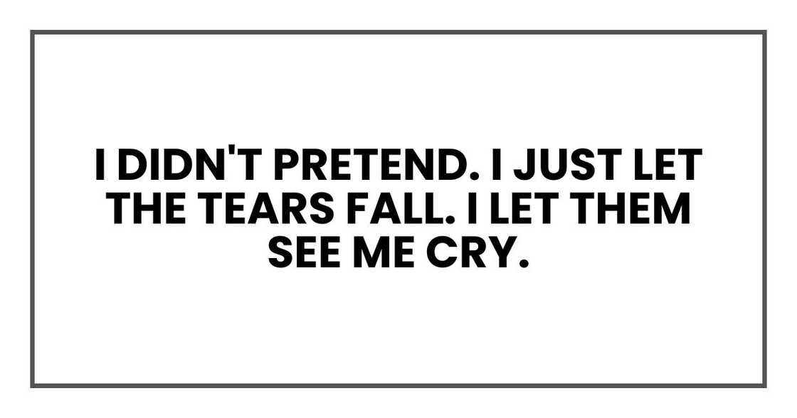 I didn't pretend. I just let the tears fall. I let them see me cry. I didn't pretend. I just let the tears fall. I let them see me cry.