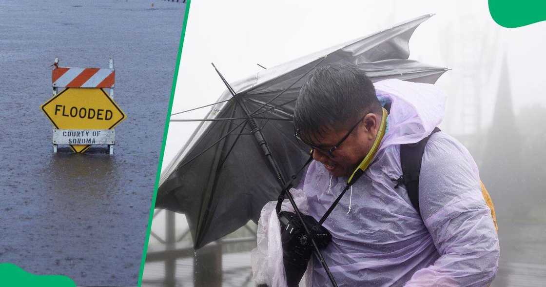 Over 4,000 people were left homeless, and about 1,000 homes were destroyed by flooding after heavy rains battered the Western Cape.