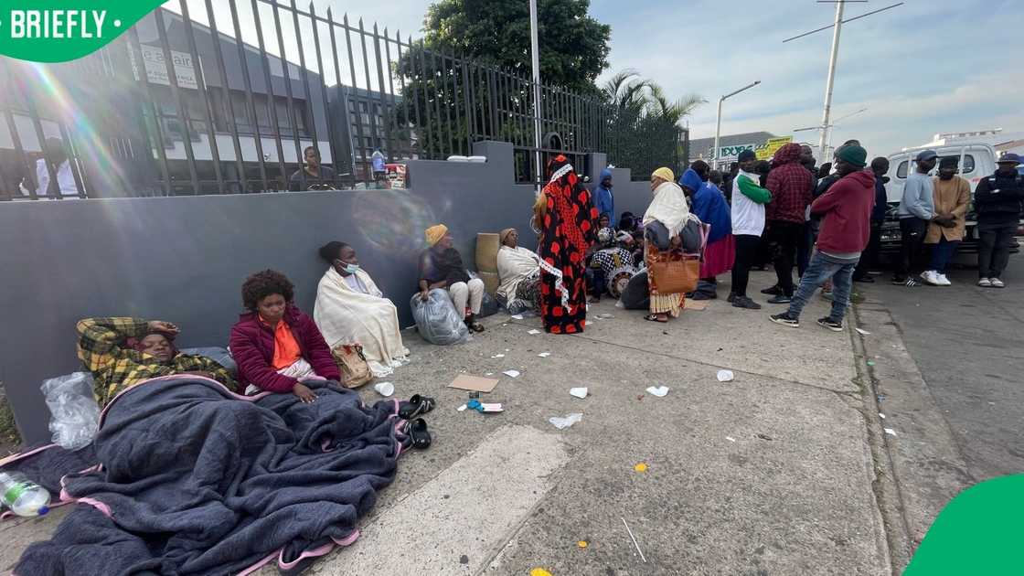 Migrants