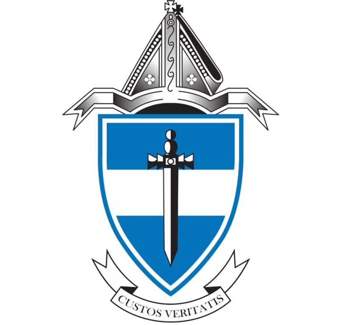 best private schools in south africa best private schools in south africa