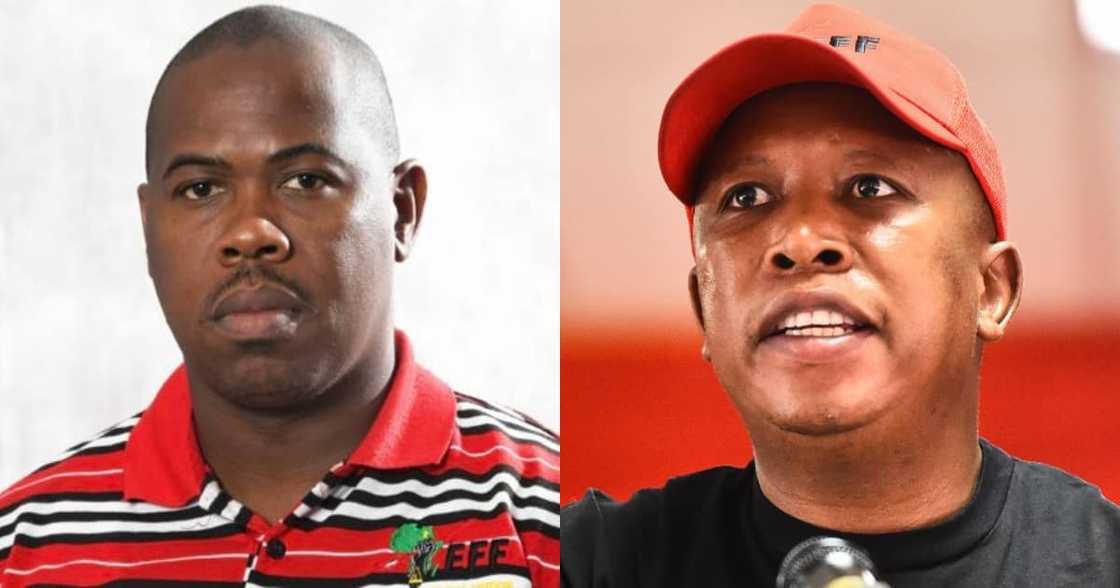 Banzi Dambuza, EFF, local elections, politics Banzi Dambuza, EFF, local elections, politics
