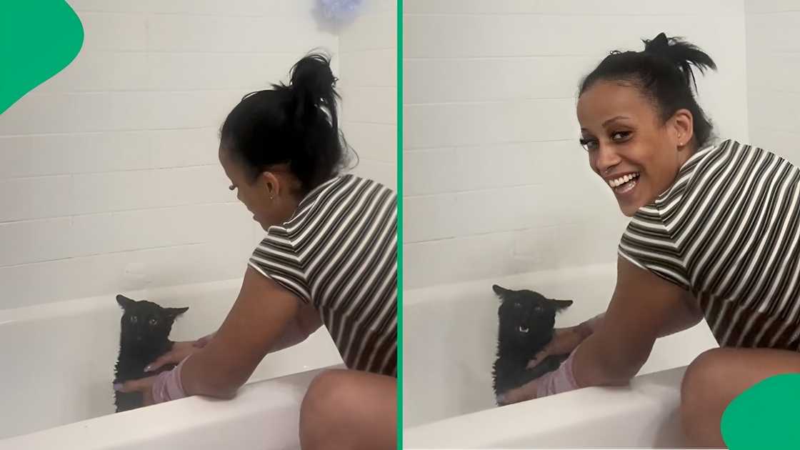 A TikTokker showed a funny clip of her cat's bath time