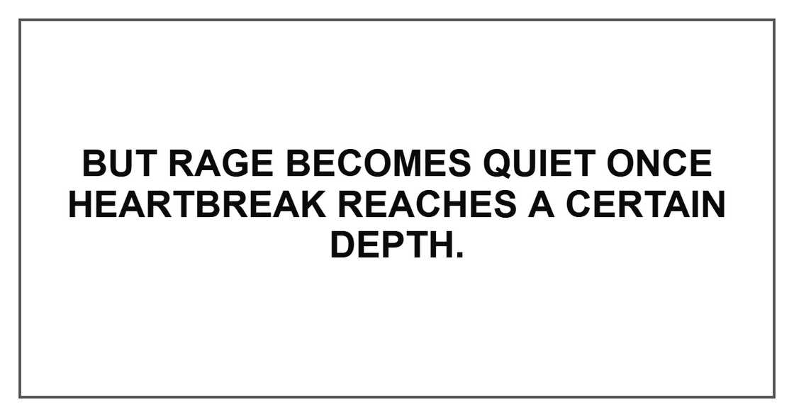 But rage becomes quiet once heartbreak reaches a certain depth. But rage becomes quiet once heartbreak reaches a certain depth.