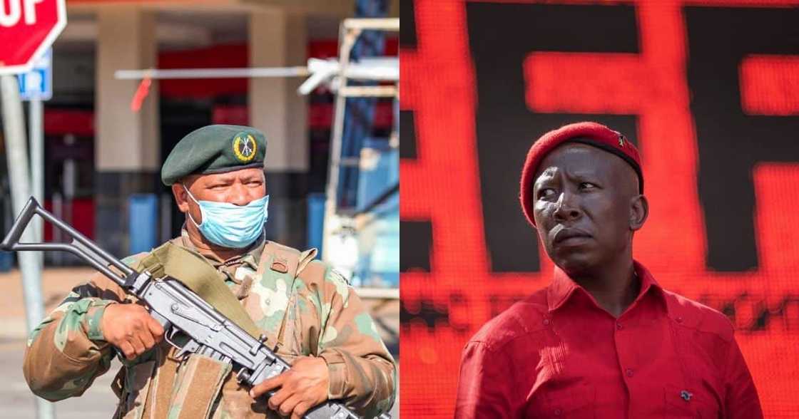 SANDF, Julius Malema, soldiers, starving, snap back SANDF, Julius Malema, soldiers, starving, snap back