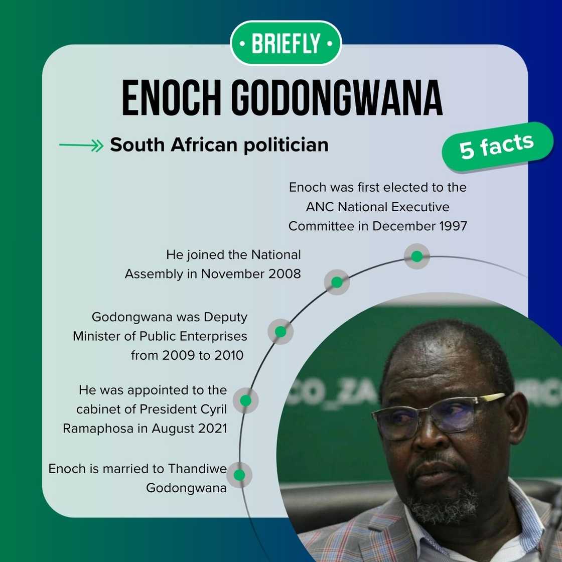 Enoch Godongwana's facts