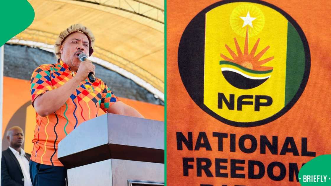 Ivan Barnes, the leader of the National Freedom Party Ivan Barnes, the leader of the National Freedom Party