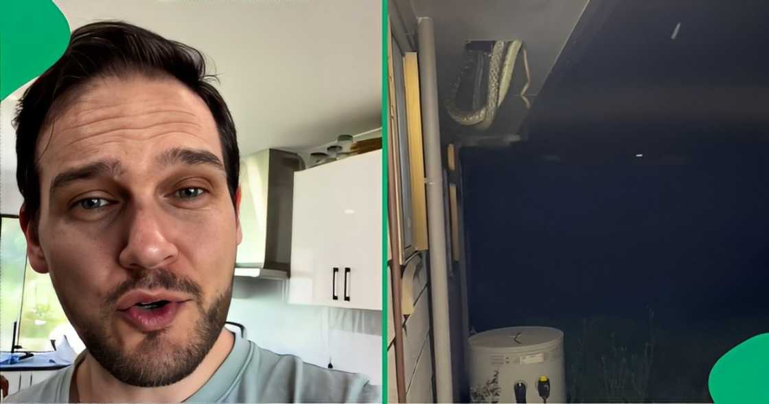 Family discovers snakes in roof Family discovers snakes in roof