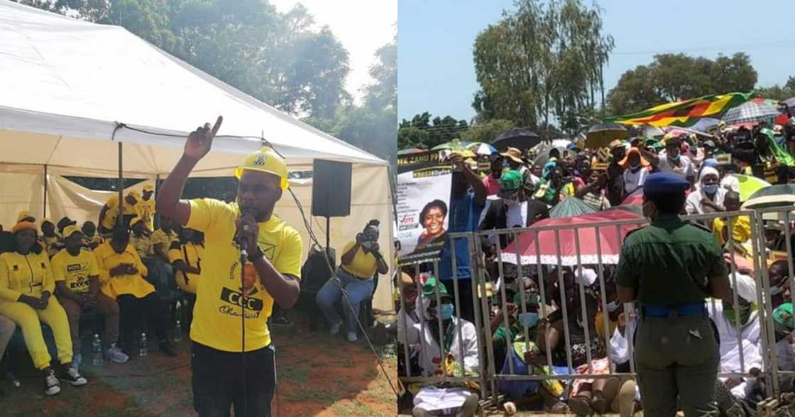 ZanuPF, CCC, Zimbabwe, March By-elections, Africa, democracy