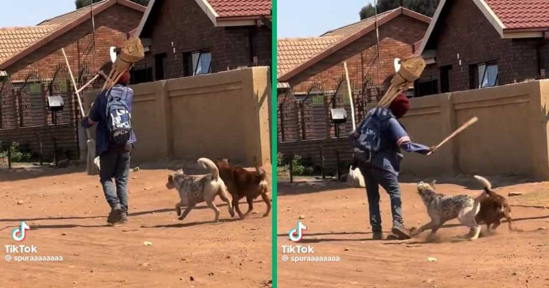 A broom seller hit a dog with a stick A broom seller hit a dog with a stick