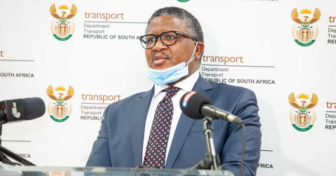 Minister of Transport Fikile Mbalula, grace period, driving licences, March 2022 Minister of Transport Fikile Mbalula, grace period, driving licences, March 2022