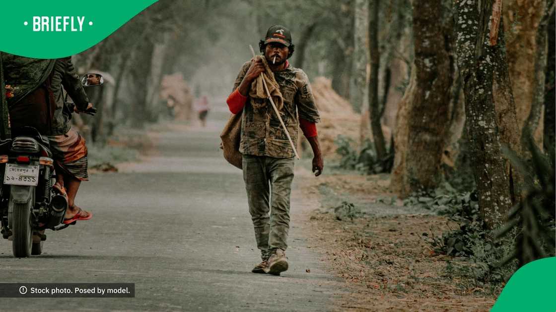 Woman shared homeless man's bond with kitten