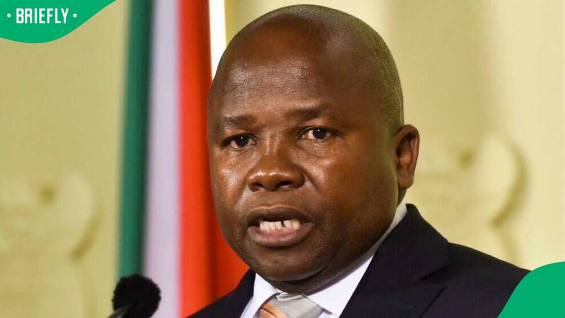 The MK Party has explained the decision to remove Des van Rooyen as Chief Whip