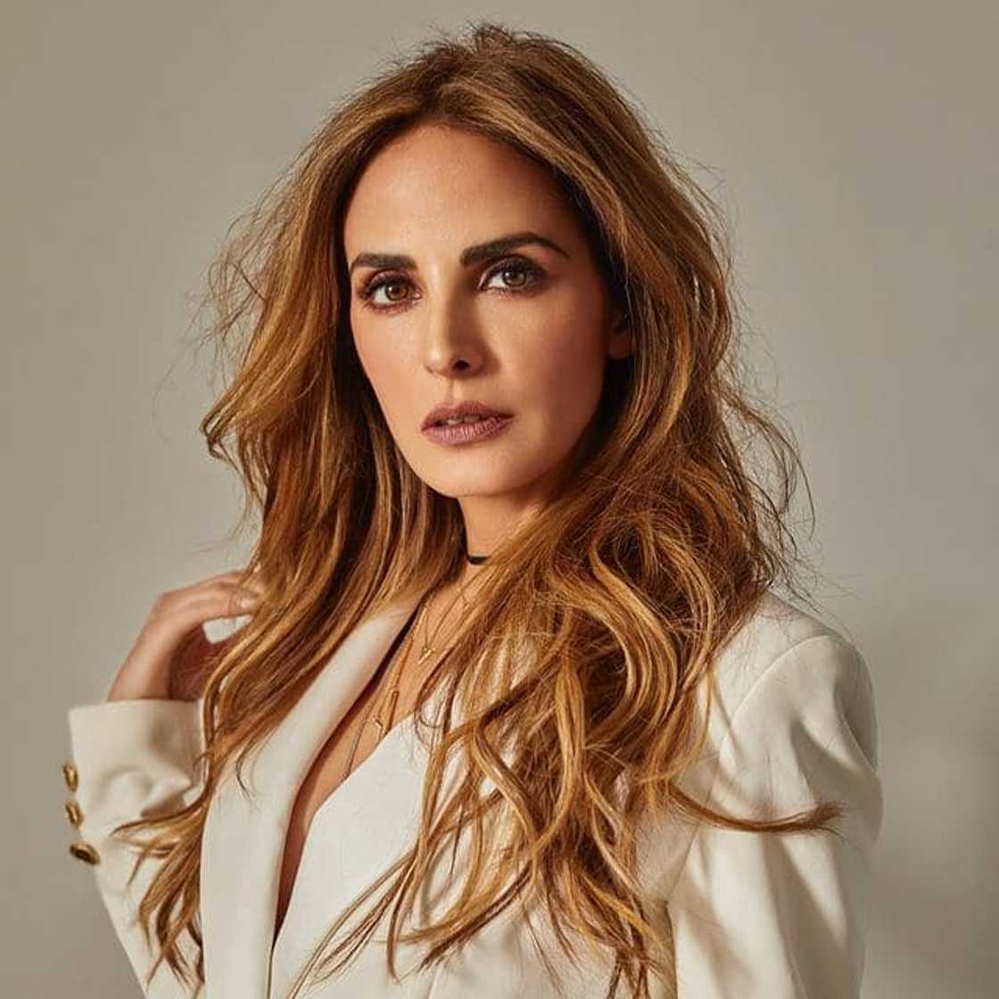 The search for Frida teasers The search for Frida teasers