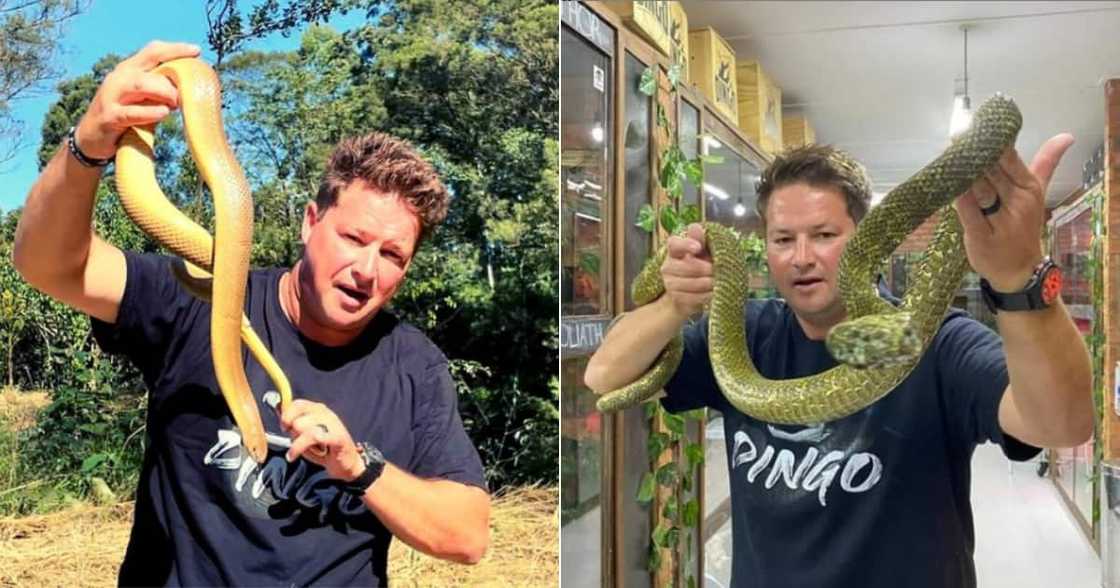 Dingo Dinkelman, SA YouTuber, Deadly Snakes, 5 nights, Social media reactions Dingo Dinkelman, SA YouTuber, Deadly Snakes, 5 nights, Social media reactions