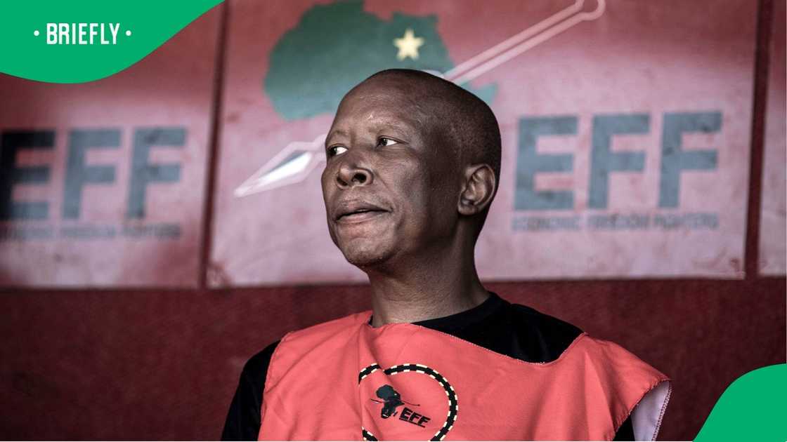 Julius Malema wants African leaders to resist Donald Trump's influence Julius Malema wants African leaders to resist Donald Trump's influence