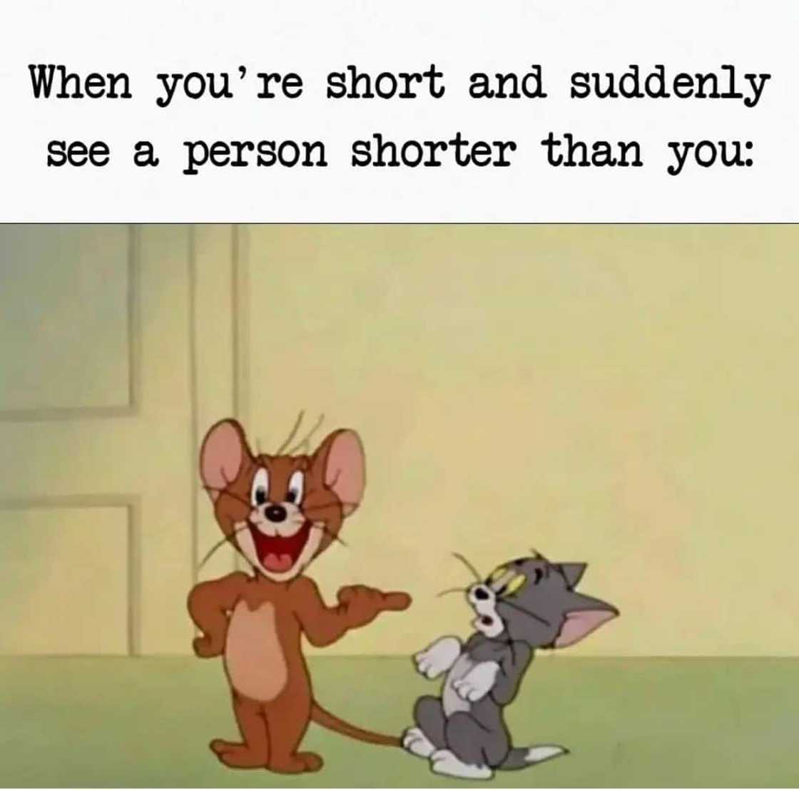 short people memes