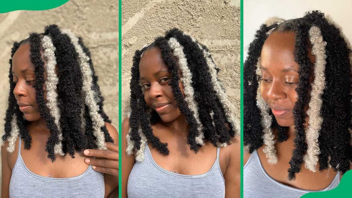 Chunky butterfly locs