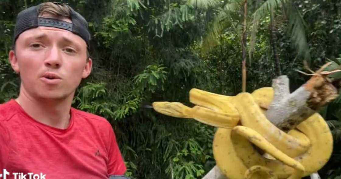 A man got bitten by a viper in the face A man got bitten by a viper in the face