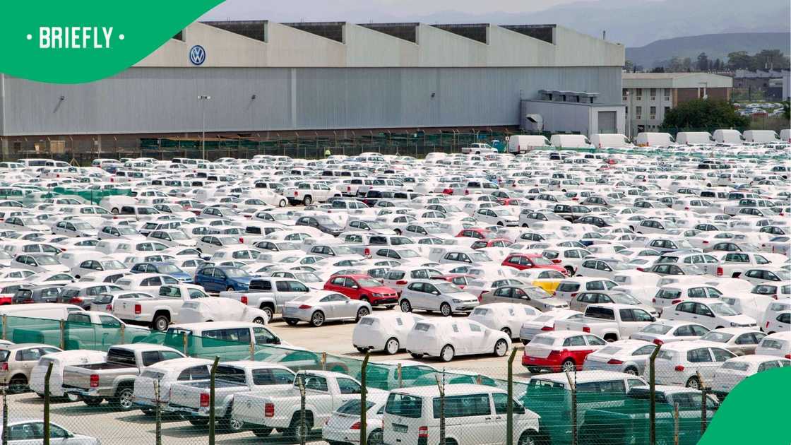 Boshoff said prolonged policy uncertainty was compounding pressure on the sector. Boshoff said prolonged policy uncertainty was compounding pressure on the sector.