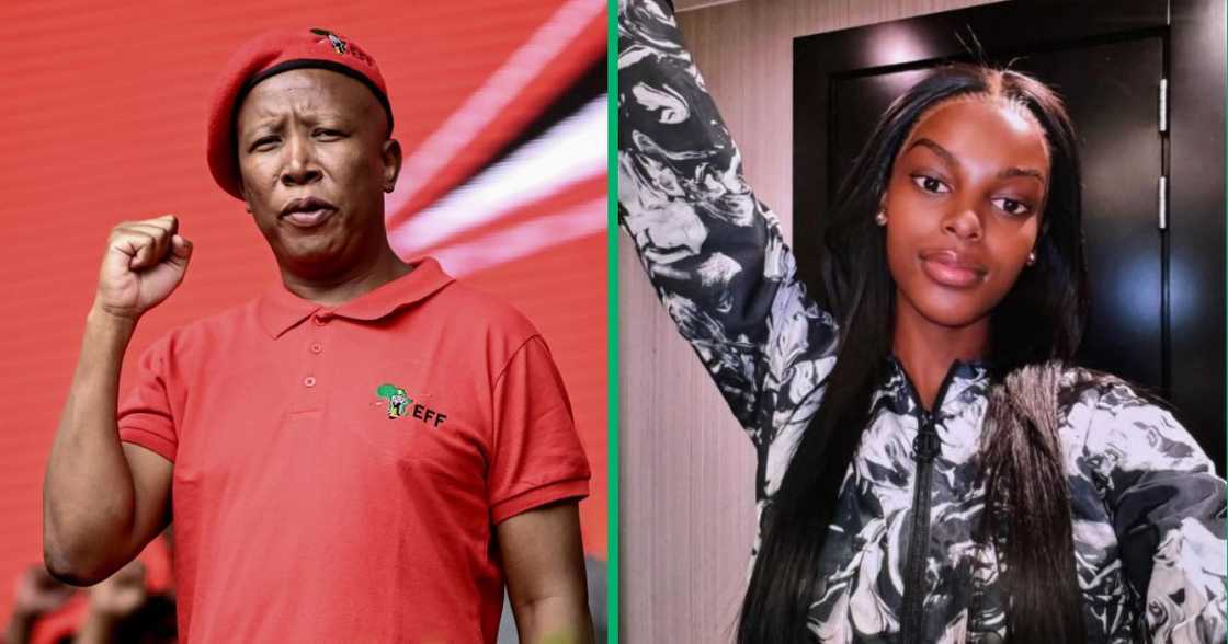 Julius Malema comes to Chidinma Adetshina's defence