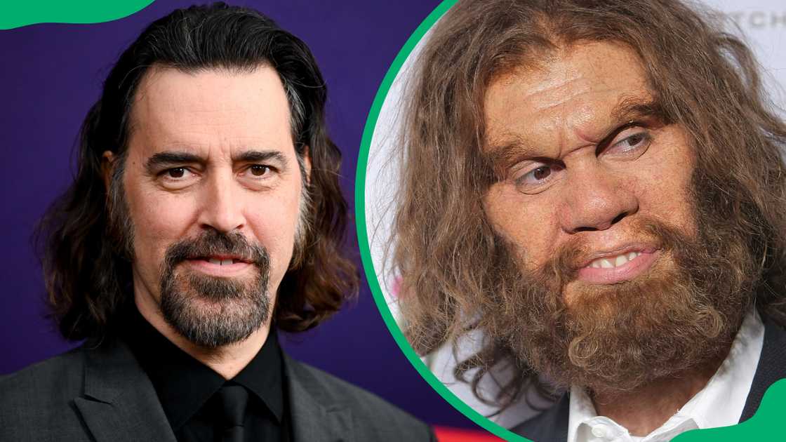 Who plays the GEICO Caveman Who plays the GEICO Caveman