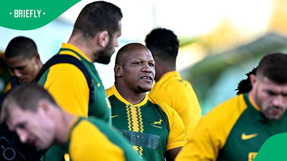 Springboks, South Africa, Bongi Mbonambi