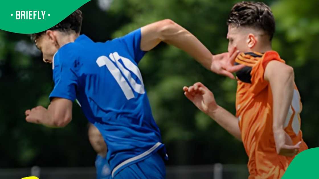 Stellenbosch University, Cape Town, Western Cape Stellenbosch University, Cape Town, Western Cape