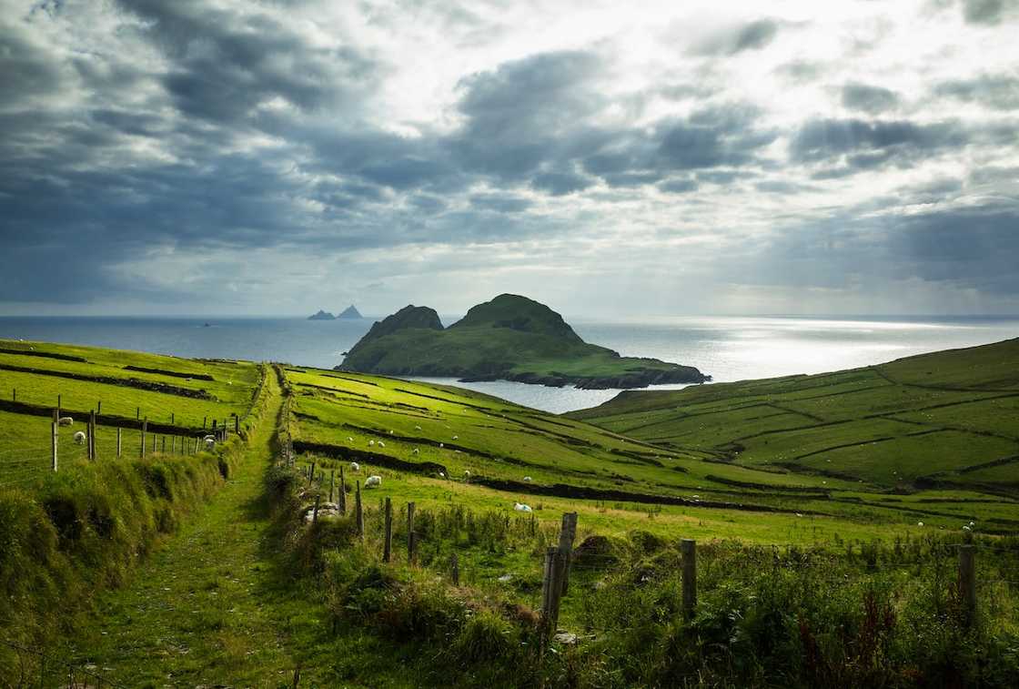 Ireland, Kerry County . St. Finian's Bay, view of Puffin Island Ireland, Kerry County . St. Finian's Bay, view of Puffin Island