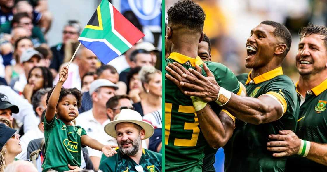 Springboks vs. France Springboks vs. France