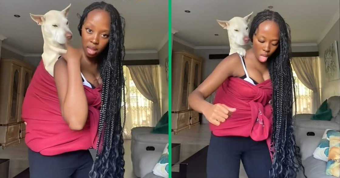 TikTok video shows woman dancing with dog TikTok video shows woman dancing with dog