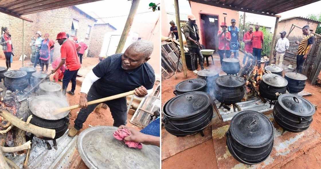 EFF, slaughter cow, siyabonga rally, Northern Cape residents, reaction piece EFF, slaughter cow, siyabonga rally, Northern Cape residents, reaction piece