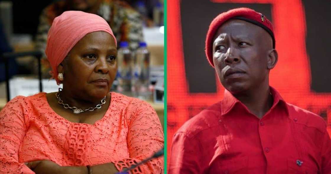 Former Speaker of the National Assembly Nosiviwe Mapisa-Nqakula is being targeted by Julius Malema and his party Former Speaker of the National Assembly Nosiviwe Mapisa-Nqakula is being targeted by Julius Malema and his party