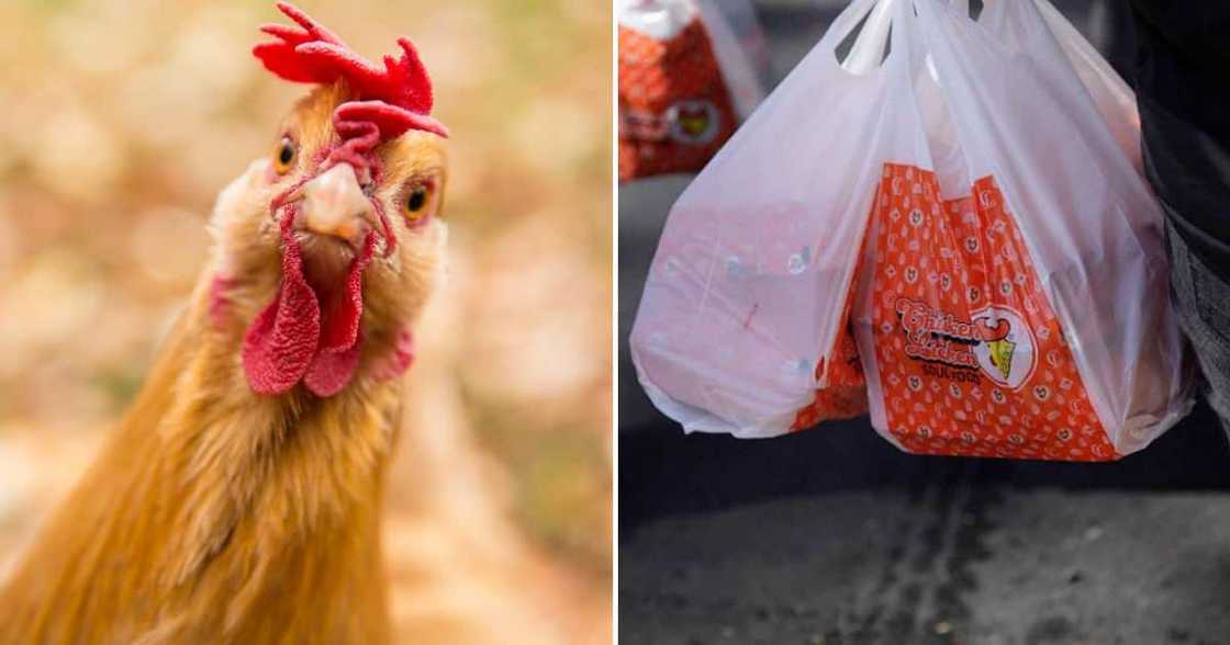 Chicken and a Chicken Licken packet Chicken and a Chicken Licken packet