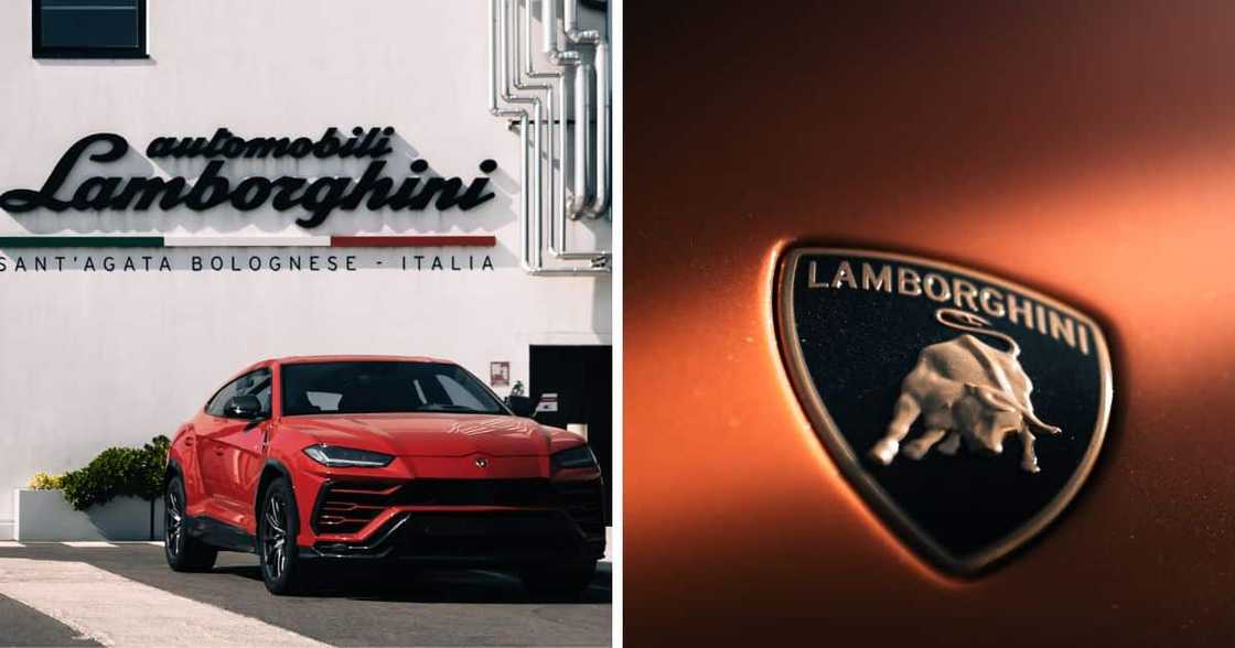 Lamborghini Urus stationary