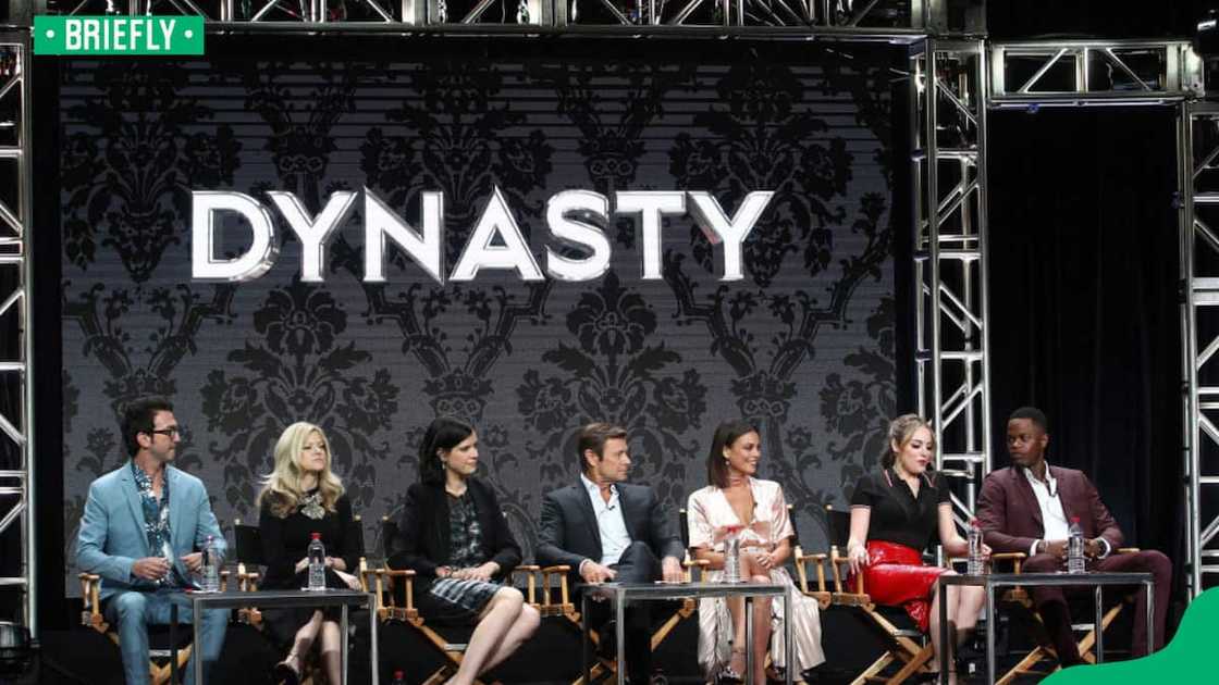 Dynasty full story