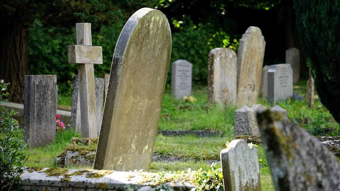 Old gravestones standing in a grassy cemetery surrounded by trees.