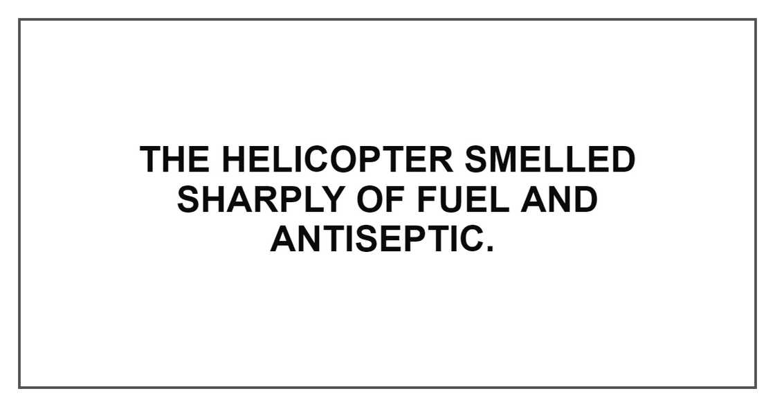 THE HELICOPTER SMELLED SHARPLY OF FUEL THE HELICOPTER SMELLED SHARPLY OF FUEL