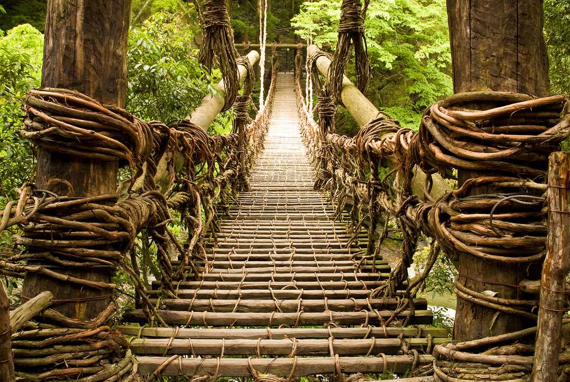 Mpumalanga residents made a wooden bridge by themselves