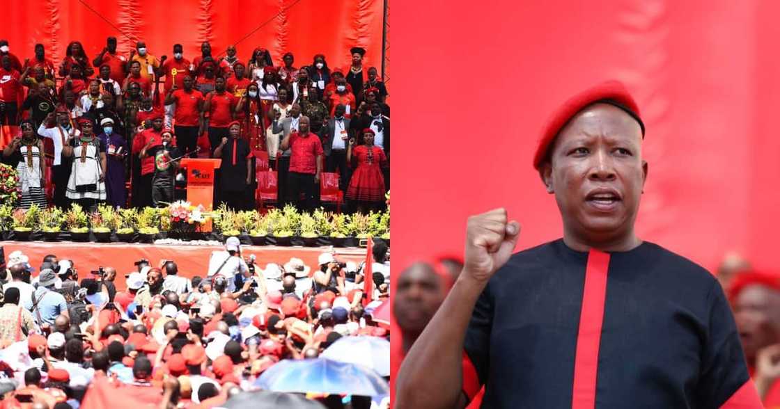 EFF, launches, people's manifesto, local elections, land and jobs