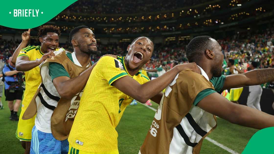 Bafana Bafana, South Africa, FIFA World Cup