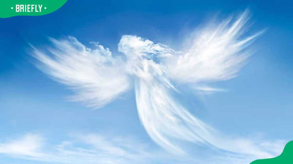 Angel in the clouds on blue sky Angel in the clouds on blue sky