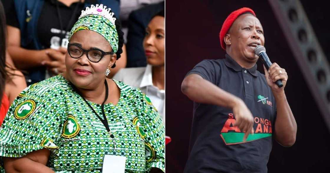 Pemmy Majodina, African National Congress, ANC, Economic Freedom Fighters, EFF, Tshwane, Cape Town, Parliament Pemmy Majodina, African National Congress, ANC, Economic Freedom Fighters, EFF, Tshwane, Cape Town, Parliament