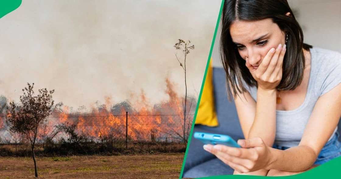 Mpumalanga police launched a probe into a fire that engulfed four cars next to a primary school in Secunda. Mpumalanga police launched a probe into a fire that engulfed four cars next to a primary school in Secunda.