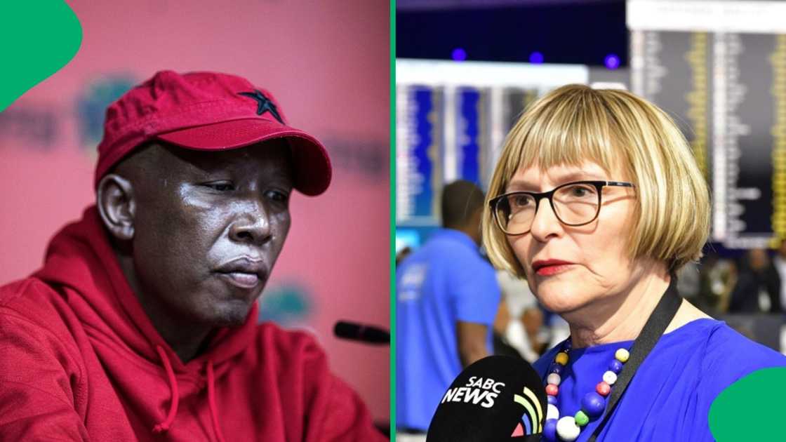EFF affairs interest DA Federal Council chair Helen Zille EFF affairs interest DA Federal Council chair Helen Zille