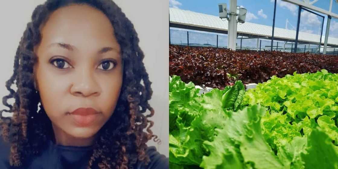 A successful hydroponic farmer makes a name for herself. A successful hydroponic farmer makes a name for herself.