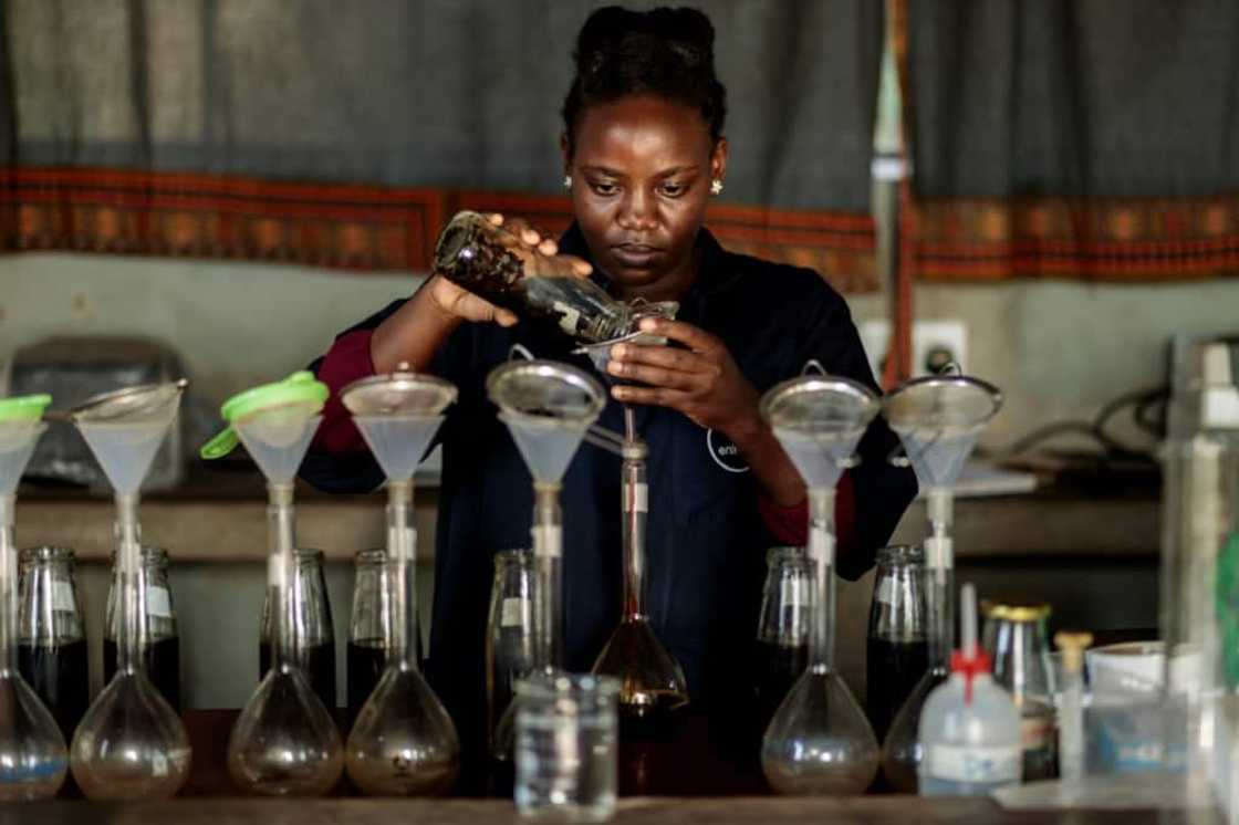 The programme is run by Kampala-based Dutch startup Marula Proteen Limited in partnership with Ugandan firm Enimiro The programme is run by Kampala-based Dutch startup Marula Proteen Limited in partnership with Ugandan firm Enimiro