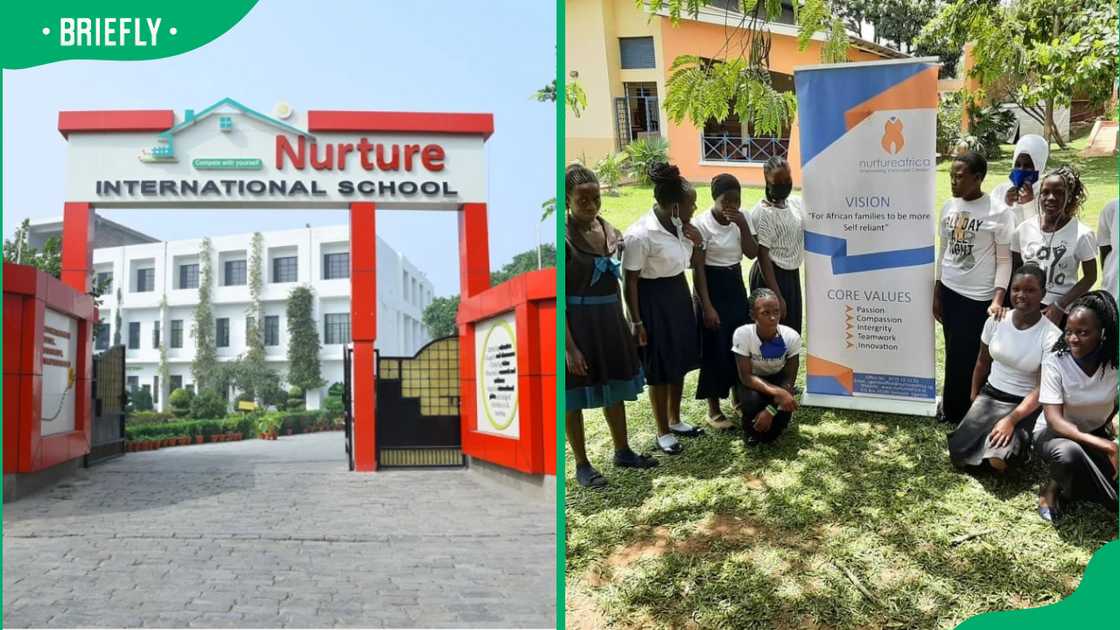 Nurture Education International students and entrance Nurture Education International students and entrance