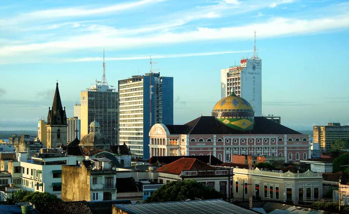 The Manaus skyline